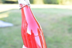 Ribssaft - opskrift på hjemmelavet saft med ribs 