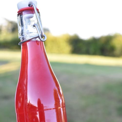 Ribssaft - opskrift på hjemmelavet saft med ribs