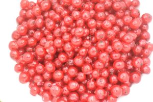 Ribssaft - opskrift på hjemmelavet saft med ribs 