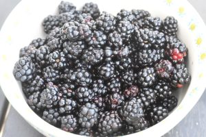 Brombær æble marmelade - nem opskrift