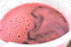 Brombær panna cotta - nem dessert opskrift