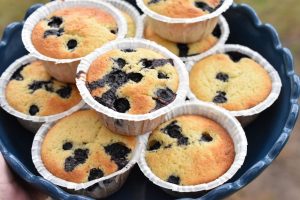 Citronmuffins med blåbær - nem opskrift
