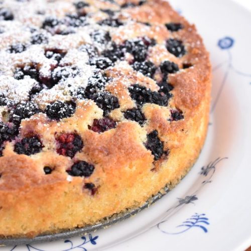 Kage i airfryer med bær og kokos - nem opskrift