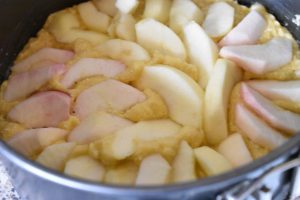 Kokoskage med æbler i airfryer - nem opskrift 