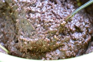 Den du ved nok muffins - nem opskrift