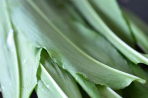 Butterdejstærte med laks - nem opskrift