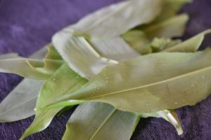 Ramsløg dip - nem dressing med ramsløg