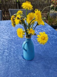 Sommerhus glimt - vil du se billeder?