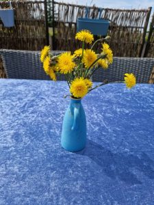 Sommerhus glimt - vil du se billeder?