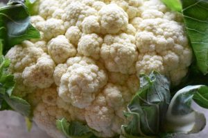 Blomkål