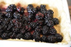 Smuldrekage med brombær & kokos - nem