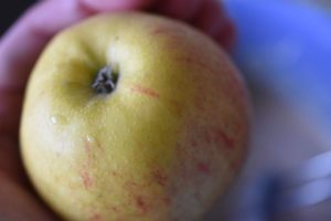 Gammeldags bagt æblekage i form - opskrift