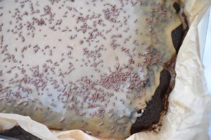 Kaffekage med kaffeglasur - opskrift