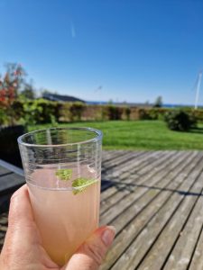 Rabarberlemonade opskrift - pink lemonade drink med rabarber