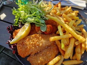 På tur til Svinkløv Badehotel, Fosdalen og Løgstør havn