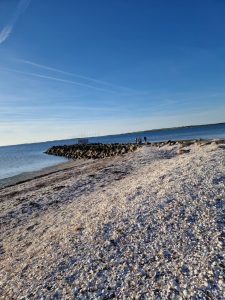 På tur til Svinkløv Badehotel, Fosdalen og Løgstør havn