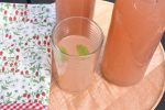 DSC_3573 • nogetiovnen.dk Rabarber lemonade - nem opskrift på pink lemonade drink