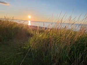 Jeg elsker vores nye køkken i sommerhuset!