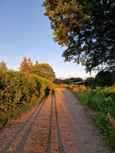 Jeg elsker vores nye køkken i sommerhuset!