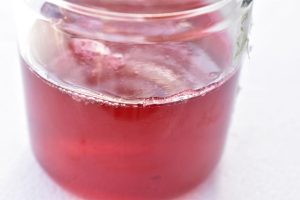 Ribsgelé - nem opskrift på frugtgelé af frugtsaft