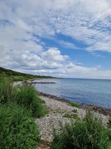 20240804_132130 • nogetiovnenstaging.com På Samsø smuttur - sikke en skøn ø - et tip til dig