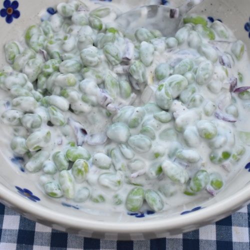 Salat med edamamebønner - nem opskrift med edamame bønner