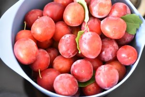 DSC_0257 • nogetiovnen.dk Mirabellegrød med fløde - opskrift på rød grød med mirabeller