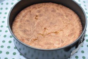 DSC_1094 • nogetiovnen.dk Spansk mandelkage - nem spansk dessertkage (glutenfri)