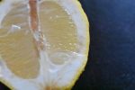 Lemon posset - opskrift på nem citrondessert