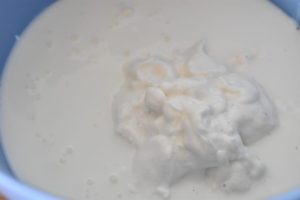 Skyr koldskål - hjemmelavet kærnemælkskoldskål