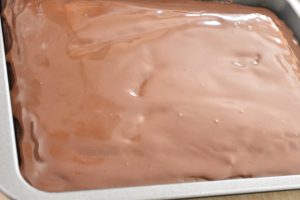 DSC_1409 • nogetiovnen.dk Chokoladekage med kokos - opskrift på kakaokage i bradepande