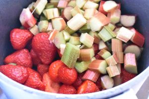 DSC_0165 • nogetiovnen.dk Jordbær rabarber kompot - opskrift