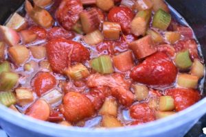 DSC_0167 • nogetiovnen.dk Jordbær rabarber kompot - opskrift