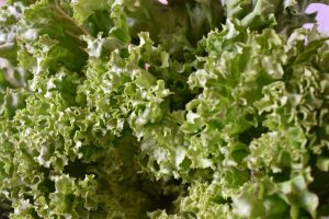 Salat med agurk og tomat - nem opskrift på grøn salat