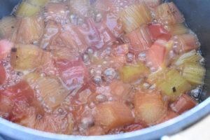 Rabarberkompot