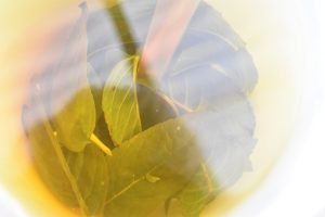 Iste med mynte - nem opskrift