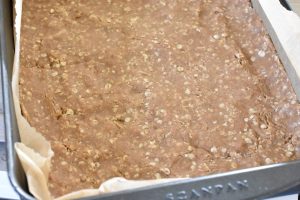 Æblesnitter med havregryn - lækre og sprøde - opskrift