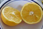 Appelsiner