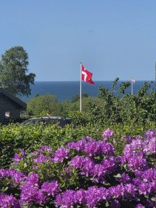 Fødselsdagsflag