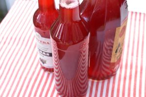 Mirabellesaft - hjemmelavet saft med mirabeller