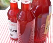 Mirabellesaft - hjemmelavet saft med mirabeller