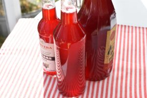 Mirabellesaft - hjemmelavet saft med mirabeller