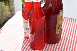 DSC_0447 • nogetiovnen.dk Mirabellesaft - hjemmelavet saft med mirabeller