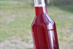 DSC_0449 • nogetiovnen.dk Mirabellesaft - hjemmelavet saft med mirabeller