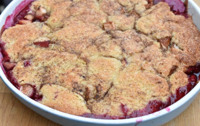 DSC_0784 • nogetiovnen.dk Cobbler med æbler og blommer - nem frugtkage